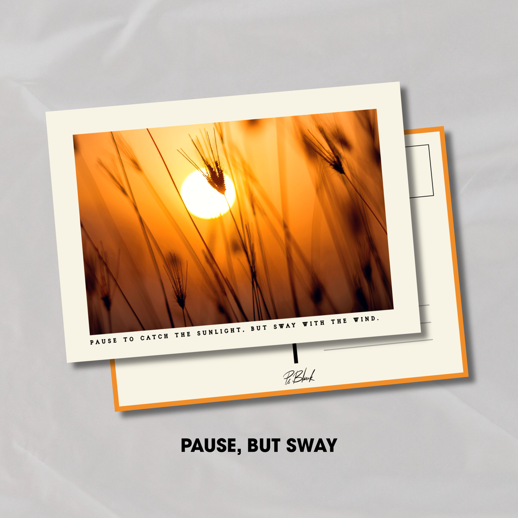 Sun be sunning Postcards