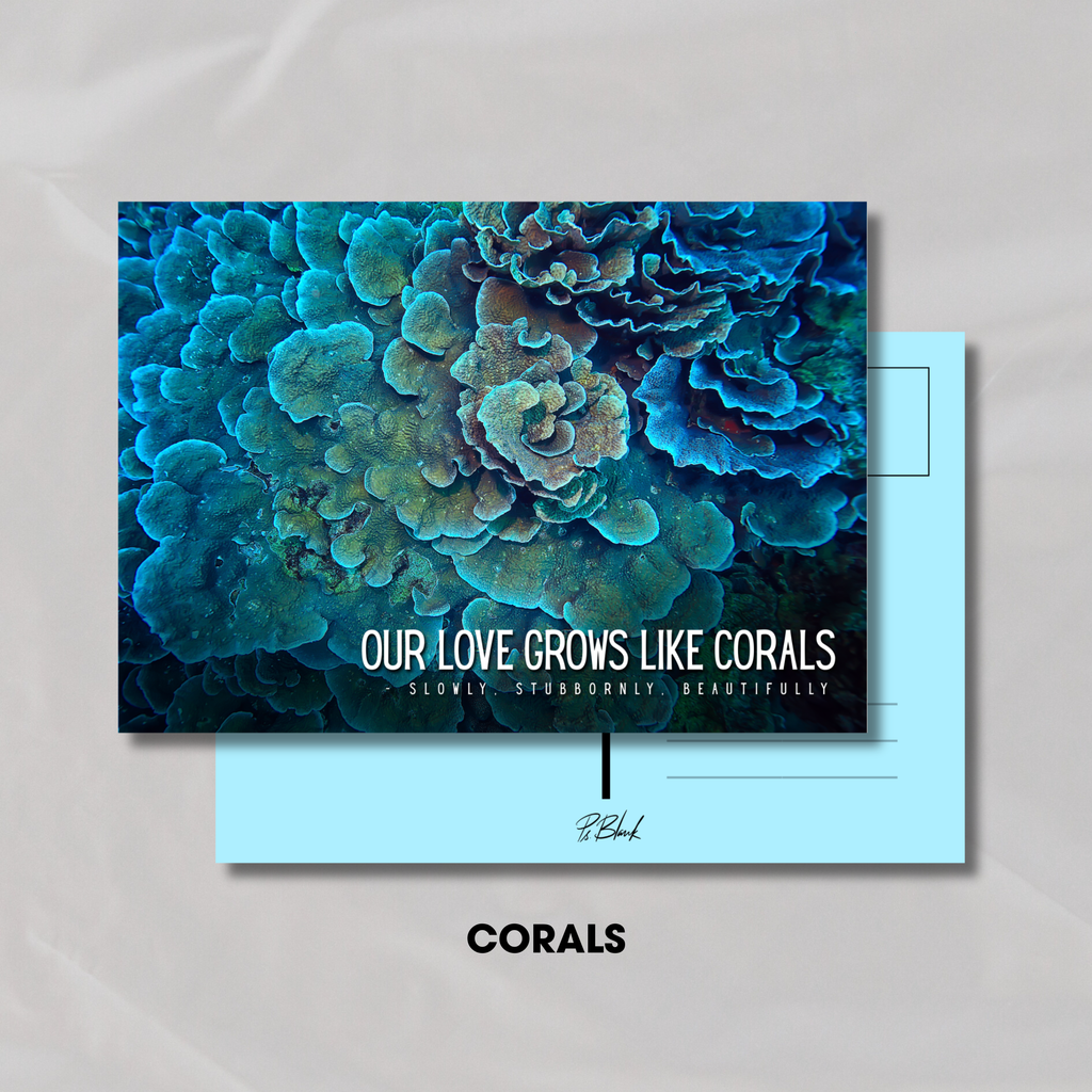 Ocean Postcards